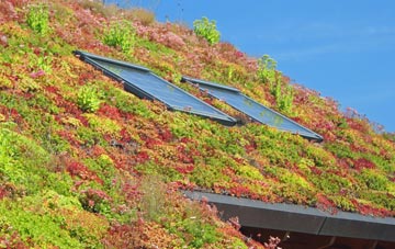 Winscombe living roof systems